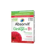 ABSORVIT GINKG+B1 COMP X 60