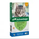 Advantage Gato Sol Uncao 0,4mlx4 Ate 4kg sol unção punctif