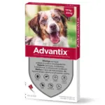 ADVANTIX CÃES +25 KG (4X4ML)